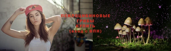 шишки Бронницы