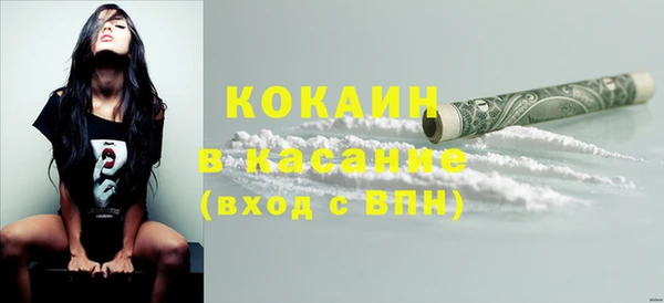 шишки Бронницы