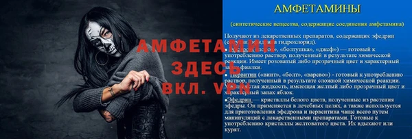 шишки Бронницы