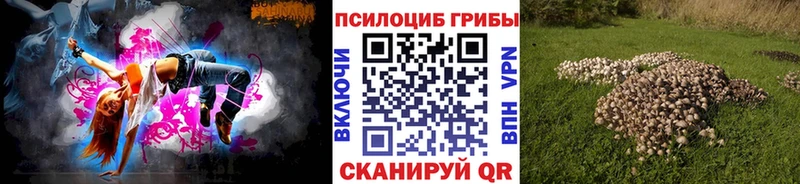 Галлюциногенные грибы MAGIC MUSHROOMS  Купить закладки  Неман 